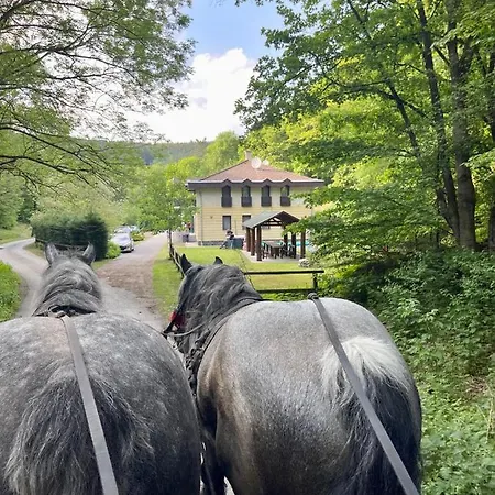 Bed & Breakfast Hidegpataki Fakapu Vadaszhaz *